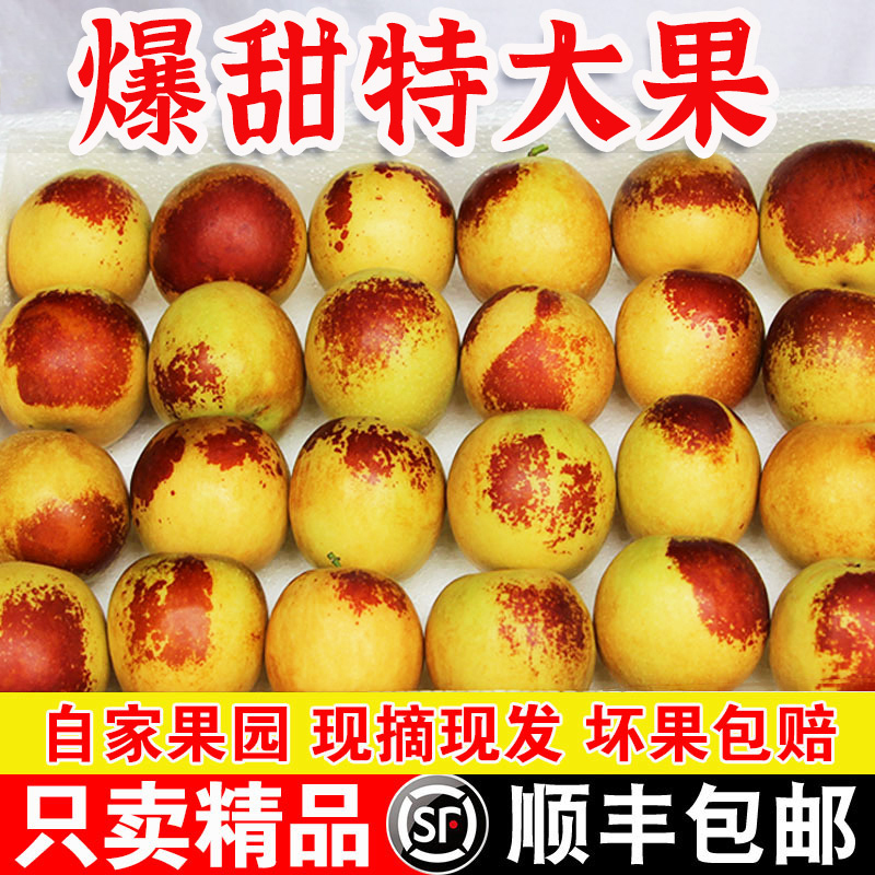 顺丰包邮丨大荔冬枣丨回头客多