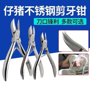 断齿小号大号猪剪牙钳养猪场牙齿器械剪刀专用猪仔设备畜牧不锈钢