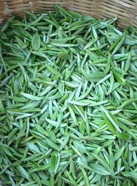 2026新茶湄潭翠芽贵州特级独芽