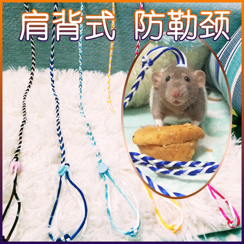 仓鼠用品牵引绳宠物玩具外带绳项圈花枝鼠松鼠遛弯互动用具肩背式 - 封面
