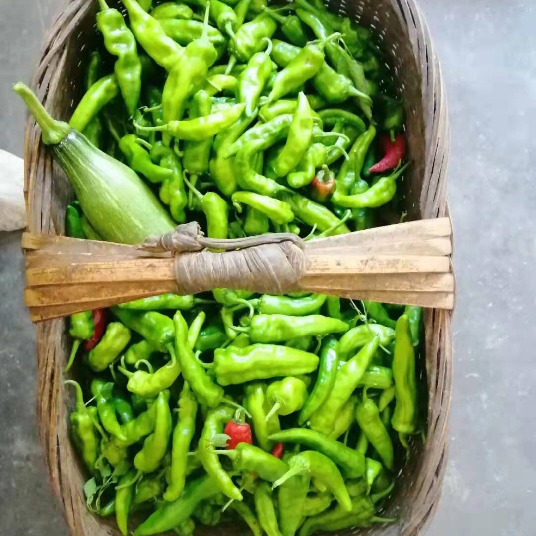 湖北宜昌农家自种土辣椒露天土辣椒薄皮青辣椒尖椒直销5斤包邮