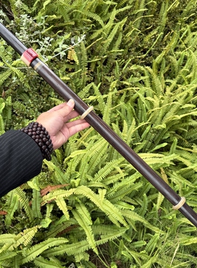 文玩细剑紫光檀羊角配件驼骨指板花纹钢收藏摆件未开刃