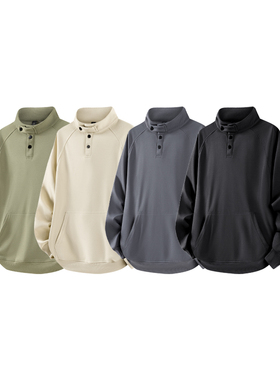 1k件华棉320g2026春款潮牌休闲美式打底立领卫衣 3D WY780 P35