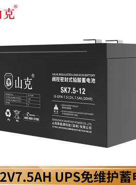山克蓄电池12v玩具车音响地摊灯