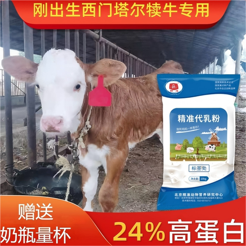 精准专用西门塔尔小牛犊代乳粉