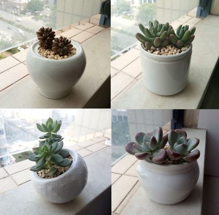 库存清仓处理1元陶瓷圆罐系列花盆 多肉植物花盆家居摆设小花盆