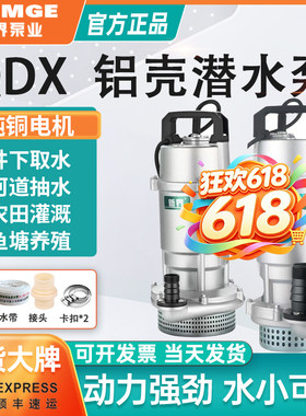新界潜水泵农业灌溉家用抽水