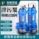欧隆高扬程工程泵排污泵农田灌溉抽水机市政工业潜污泵家用潜水泵
