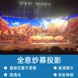 全息纱幕投影展览展示舞台表演3D立体活动宣传互动投影互动地面