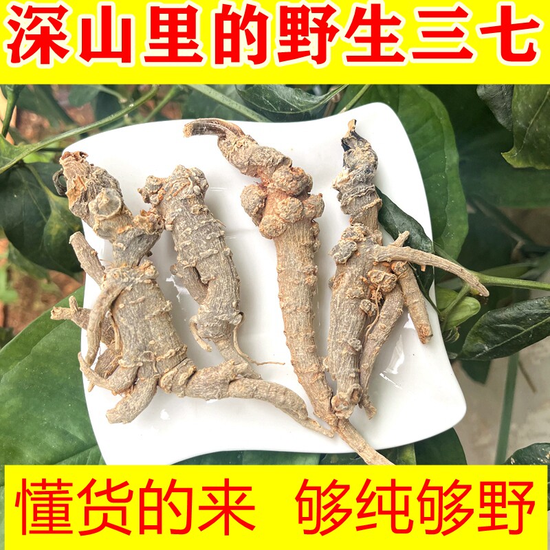 正宗云南文山野生三七整个海拔1800米田七深山采挖无硫可磨超细粉