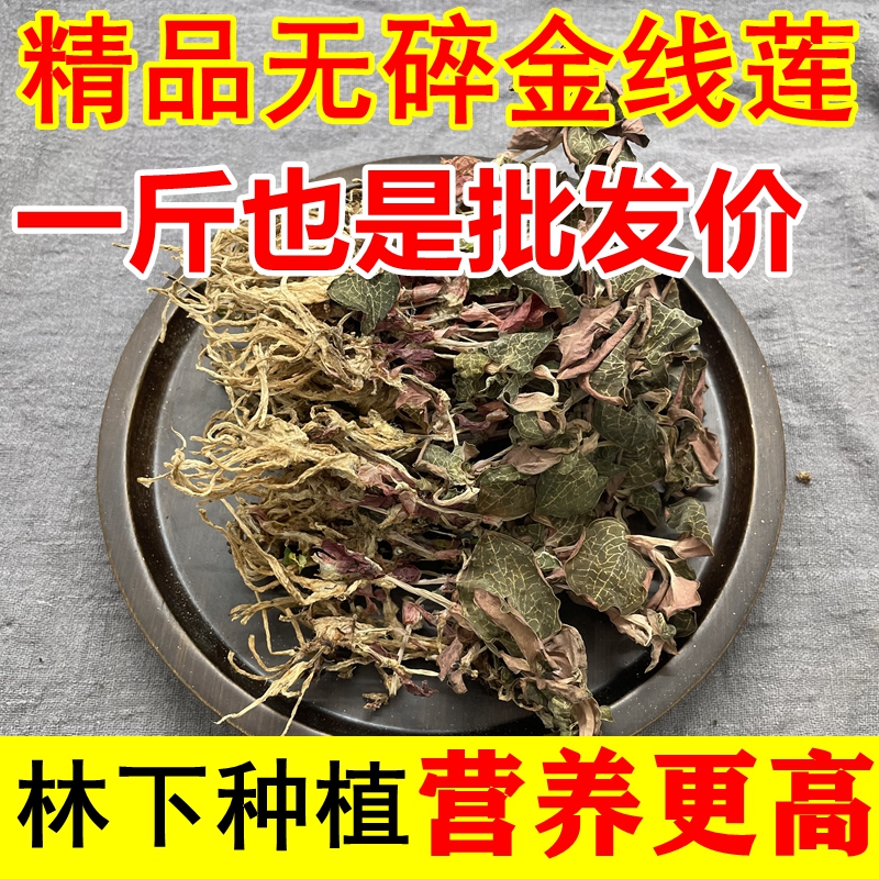 正宗福建金线莲正品精选无碎整株干品500克包邮仿林下种植非野生