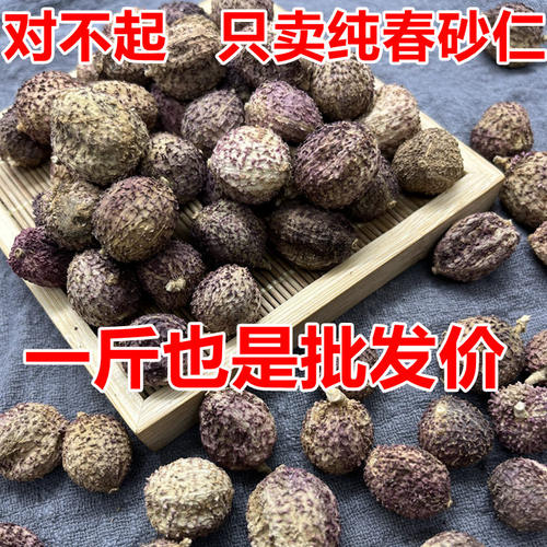 春砂仁品质保证特级养胃