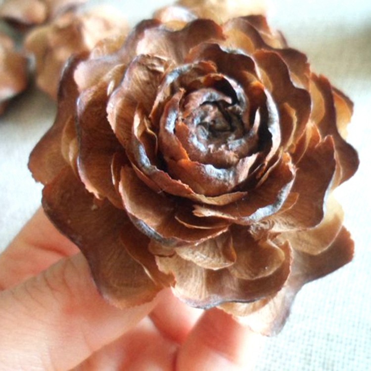 纯天然木玫瑰植物松花干花