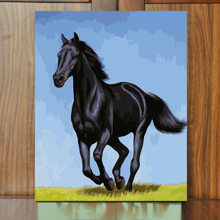 DIY数字油画动物马手绘填色油彩画卧室客厅走廊装 定制马 饰画挂画