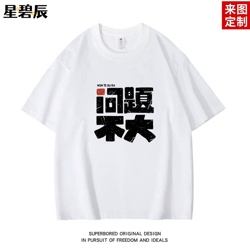 【问题不大】2025年夏季趣味文字印花短袖t恤男纯棉宽松休闲半袖