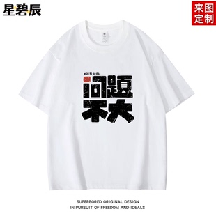 【问题不大】2025年夏季趣味文字印花短袖t恤男纯棉宽松休闲半袖