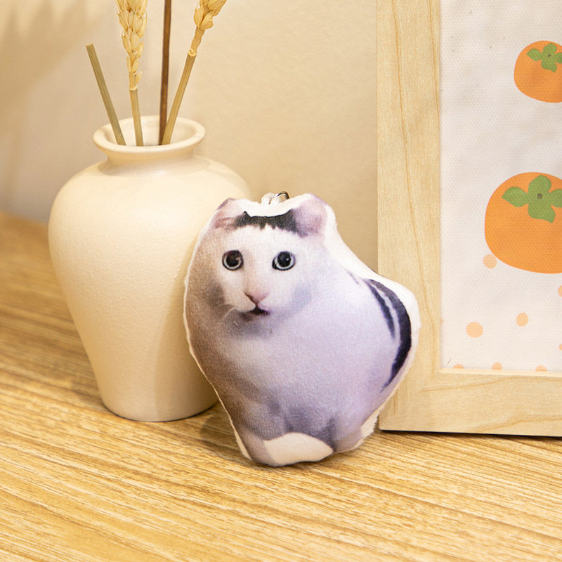 哈huh猫周边抱枕疑惑表情钥匙扣定制丑猫咪无白边吐舌羊玩偶挂件