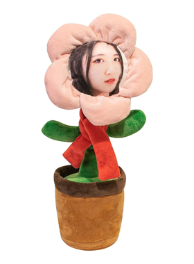 妖娆花玩具diy定制照片唱歌跳舞
