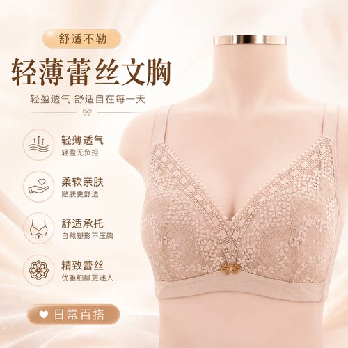 西维娅品牌正品文胸蕾丝夹棉薄CD杯聚拢上托软钢圈蚕丝内衣770-22