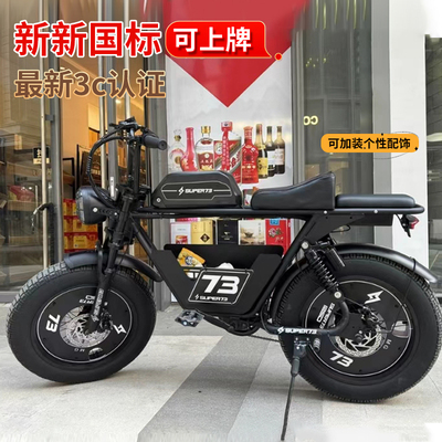 法克斯新款可待人多种模式电动车