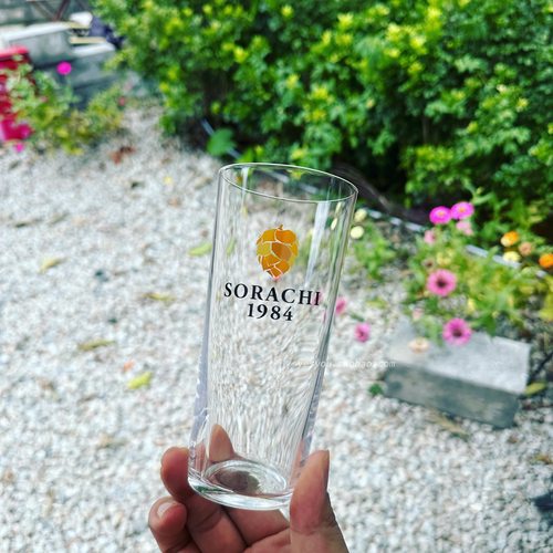 日本SAPPORO三宝乐传奇SORACHI 1984空知啤酒杯超薄扎啤杯玻璃杯