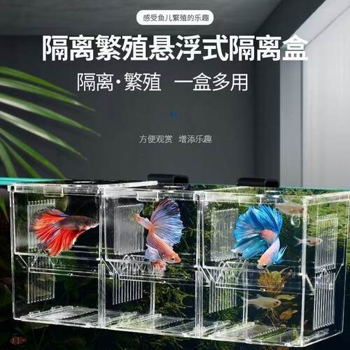 孔雀鱼高透两格悬浮隔离孵化盒