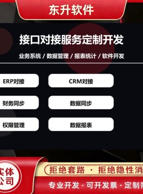 接口对接服务定制开发 ERP CRM 财务系统 数据同步