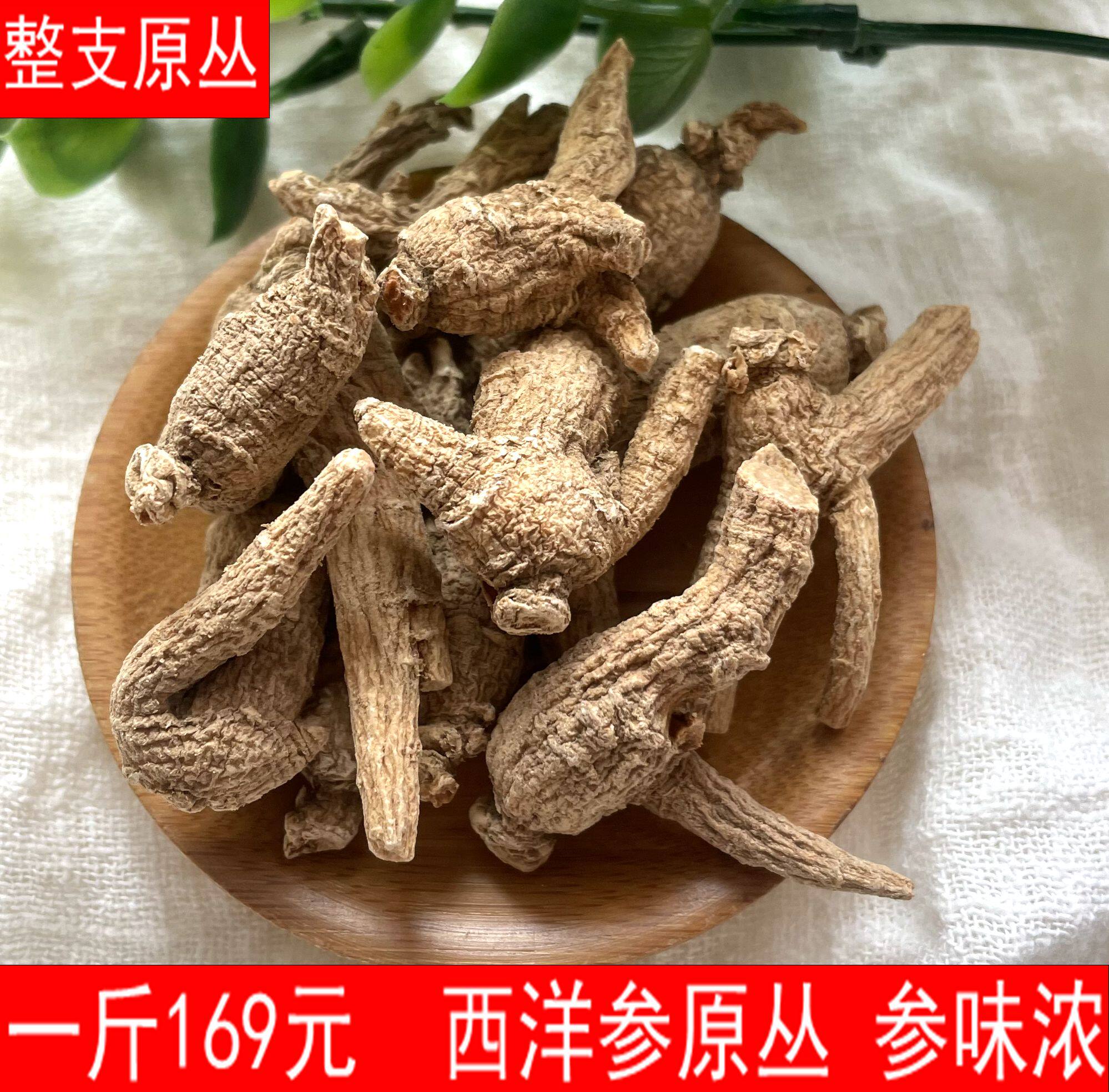 西洋参整枝花旗参500克装