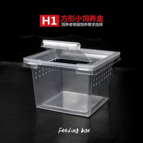 爬宠小方盒饲养盒蜘蛛守宫盒蜥蜴蝎子蜈蚣角蛙壁虎甲虫昆虫打包盒