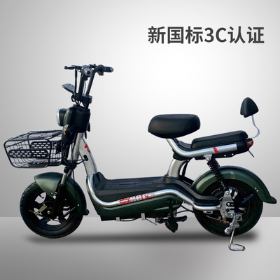 时尚性价比铅酸锂电日常通行骏迹