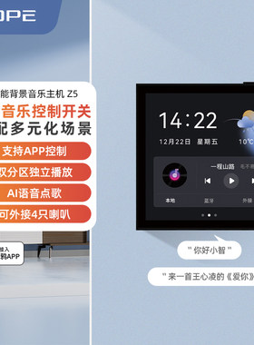 86型智能背景音乐主机音响套装