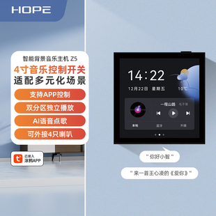 向往Z5涂鸦智能背景音乐主机系统吸顶喇叭套装语音点歌功放 86型