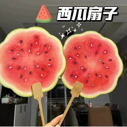 夏季创意手工西瓜团扇手绘风宣纸