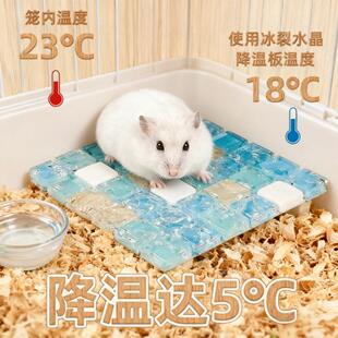 仓鼠冰垫夏季降温板可水洗金丝熊冰窝防中暑快速吸热高温天