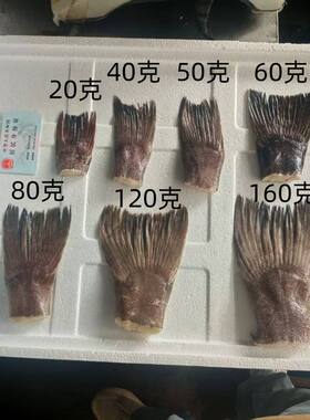 (无冰衣)全规格鱼尾酒店碳烧烤鸦片鱼尾 鲽鱼尾 碟鱼尾 鳕鱼尾