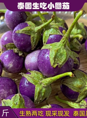 泰国生吃小圆茄子泰式冬阴功西双版纳傣家野茄咖喱茄迷你紫色青色