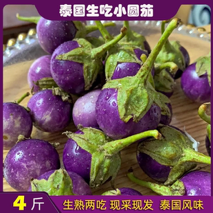 泰国生吃小圆茄子泰式冬阴功西双版纳傣家野茄咖喱茄迷你紫色青色