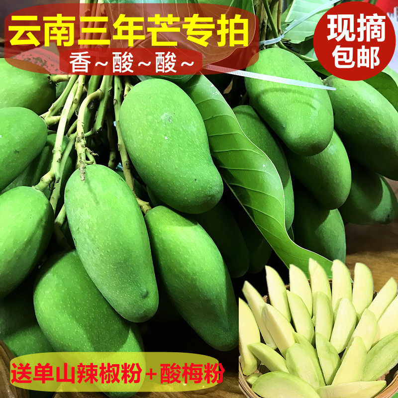 三年芒老品种云南版纳生吃小青芒酸脆爽口芽芒孕妇新鲜产地包邮