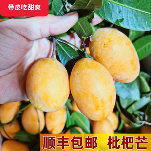 枇杷芒果小鸡蛋芒琵琶芒脆皮美女云南版纳泰国罕见甜带皮吃2新鲜