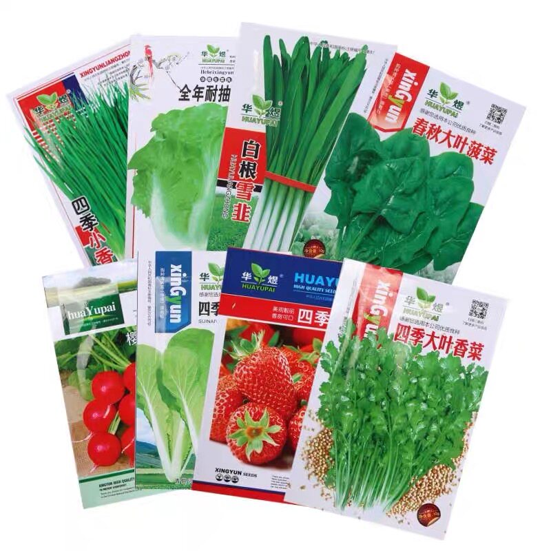四季蔬菜种子辣椒黄瓜豆角番茄甜家庭园艺种子