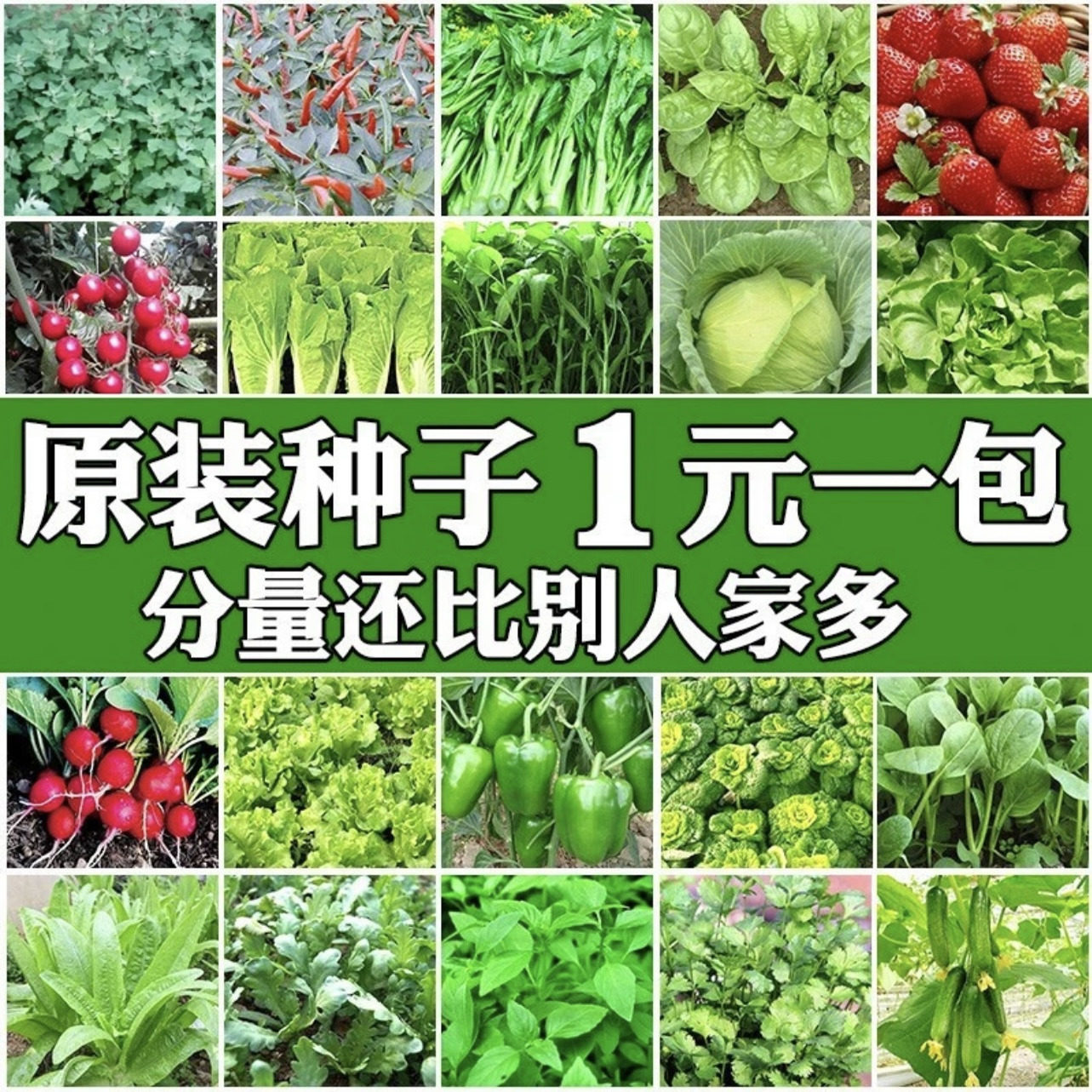 蔬菜种子四季播种阳台农家盆栽香菜菠菜生菜韭菜小葱草莓籽孑大全