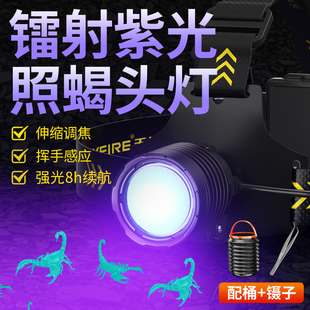 天火照蝎子头灯强光头戴式 户外超亮充电专业蝎子专用紫光灯长续航
