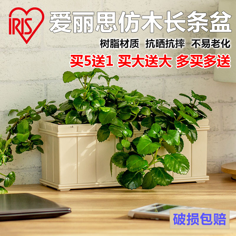 爱丽思长方形花盆塑料树脂花盆爱丽丝长方形多肉小盆栽340长条盆