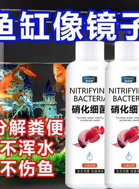 鱼缸硝化细菌去除腥味水质净化