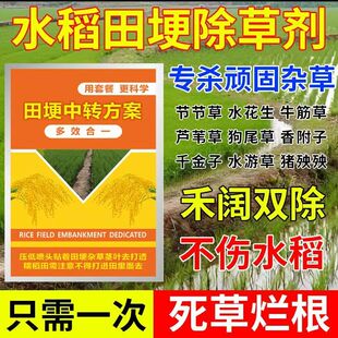 水稻田埂除草剂不伤水稻杂草全除水花生马齿苋猪殃殃婆婆纳正品