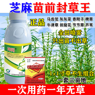 芝麻苗前封闭除草剂芝麻封草药香附子牛筋草田旋花一季不出草正品