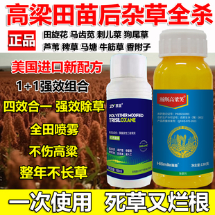高粱苗后除草剂不伤高粱禾阔双除杂草一扫光死草烂根芦苇强效正品