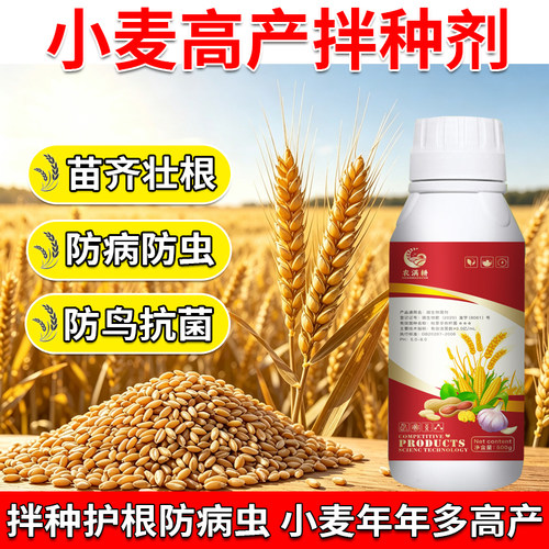 小麦拌种剂微生物菌剂玉米花生大豆水稻专用拌种抗病防虫种衣菌剂