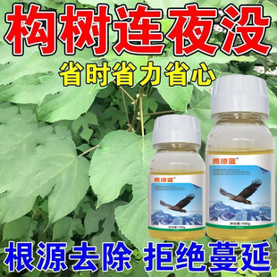 构树刺槐灌木野酸枣野枸杞药络石藤葛藤爬山虎拉拉秧除草剂灌木
