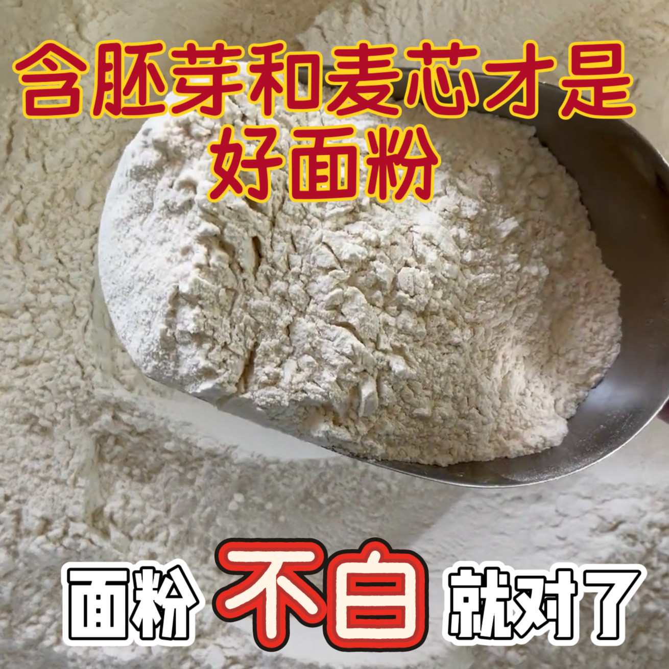 怜悯的农村自家石磨小麦粉白面无零添加不提取保留含胚芽麦芯5斤